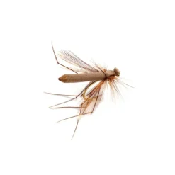 Adult Crane Brown - Your Premium Fishing Gear Store Rods Lines Baits Accessories^ Sale