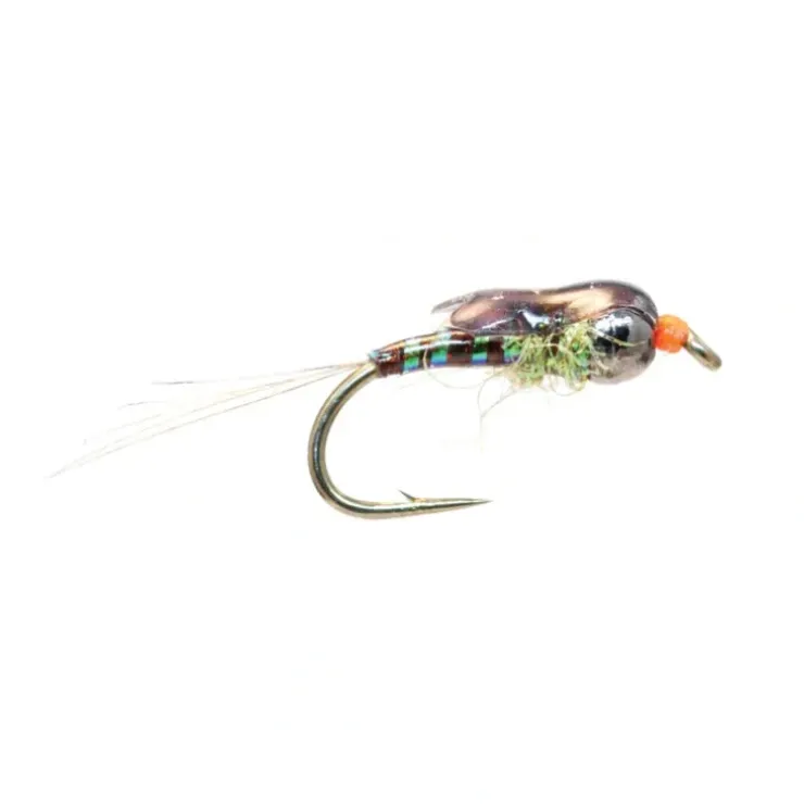 Aero Baetis - Your Premium Fishing Gear Store Rods Lines Baits Accessories^ Flash Sale