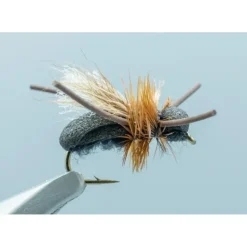 Ant Black #14 - Your Premium Fishing Gear Store Rods Lines Baits Accessories^ Store