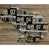 Argentina Capybara License Plate Art - Your Premium Fishing Gear Store Rods Lines Baits Accessories^ Clearance
