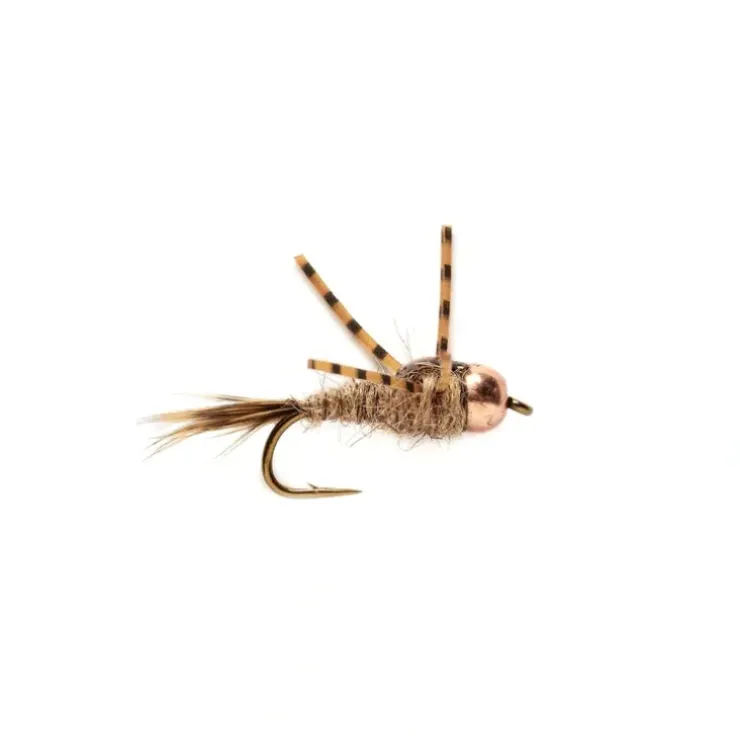 Arizona Hare Light - Your Premium Fishing Gear Store Rods Lines Baits Accessories^ Hot