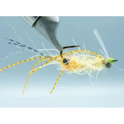 Ascension Bay Mantis Golden Sand - Your Premium Fishing Gear Store Rods Lines Baits Accessories^ Fashion