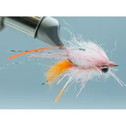 Bahamas Shrimp - Your Premium Fishing Gear Store Rods Lines Baits Accessories^ Cheap