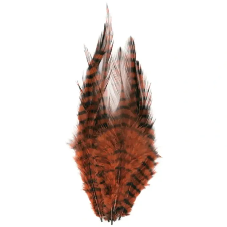 Barred Saddle Hackle - Your Premium Fishing Gear Store Rods Lines Baits Accessories^ Discount