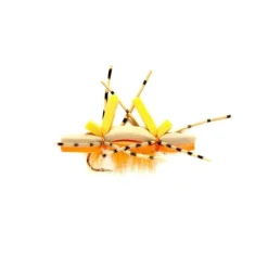 Bean's Orange Crush - Your Premium Fishing Gear Store Rods Lines Baits Accessories^ Best