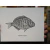Ben Engle Surfperch Print - Your Premium Fishing Gear Store Rods Lines Baits Accessories^ Shop