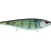 Berkley HighJacker Saltwater Top Water, 2/3oz, 3 7/8", Pinfish - Your Premium Fishing Gear Store Rods Lines Baits Accessories^ Store