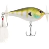 Berkley Spin Bomb 60mm 2/5oz - Your Premium Fishing Gear Store Rods Lines Baits Accessories^ Fashion