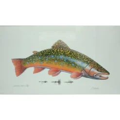 Bern Sundell 56/300 Trout & 3 Flies Print - Your Premium Fishing Gear Store Rods Lines Baits Accessories^ Outlet
