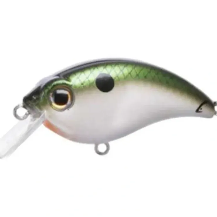 Bill Lewis ATV Squarebill Crankbaits - Your Premium Fishing Gear Store Rods Lines Baits Accessories^ New