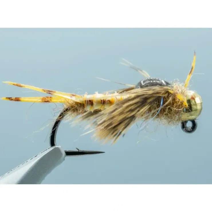 Biot Epoxy Golden Stone #8 - Your Premium Fishing Gear Store Rods Lines Baits Accessories^ Cheap