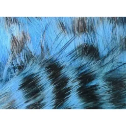 Black Barred Rabbit Strips - Your Premium Fishing Gear Store Rods Lines Baits Accessories^ Best