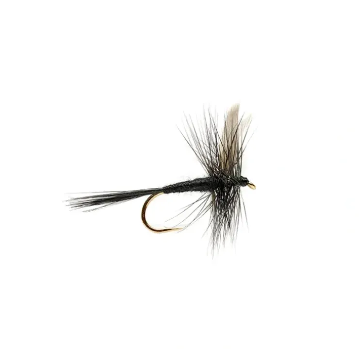 Black Gnat - Your Premium Fishing Gear Store Rods Lines Baits Accessories^ New