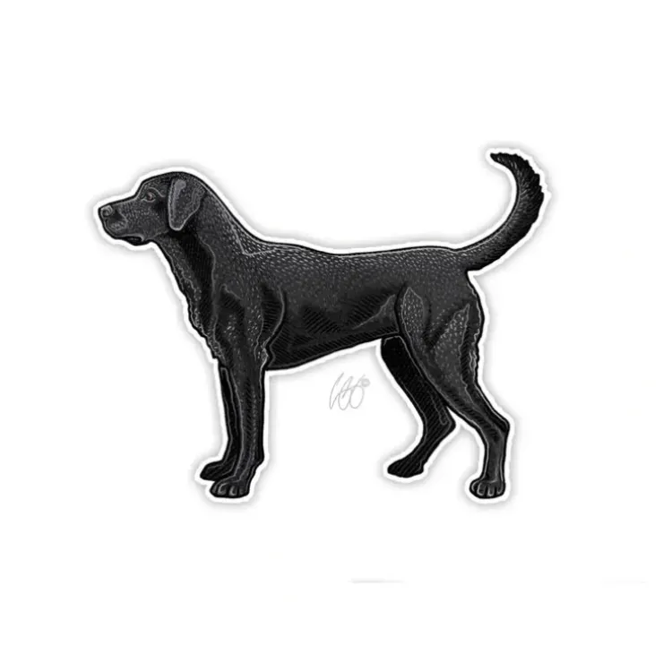 Black Lab Sticker - Your Premium Fishing Gear Store Rods Lines Baits Accessories^ Best Sale
