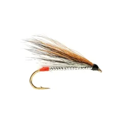 Black Nose Dace - Your Premium Fishing Gear Store Rods Lines Baits Accessories^ Sale