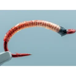 Bloodworm Red #08 - Your Premium Fishing Gear Store Rods Lines Baits Accessories^ Best Sale