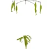 Blue Water Candy Umbrella Rig, 20" 6 Arm 4oz Parachute Chartreuse - Your Premium Fishing Gear Store Rods Lines Baits Accessories^ Clearance