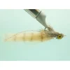 Bonefish Slider #4 - Your Premium Fishing Gear Store Rods Lines Baits Accessories^ Hot