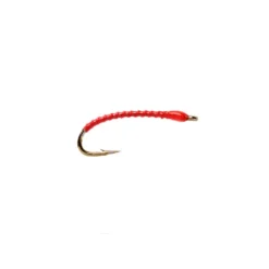 Boroffs Anneworm Orange - Your Premium Fishing Gear Store Rods Lines Baits Accessories^ Fashion