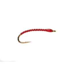 Boroffs Anneworm Red - Your Premium Fishing Gear Store Rods Lines Baits Accessories^ Discount