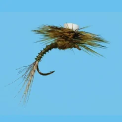 Brooks Sprout Flav - Your Premium Fishing Gear Store Rods Lines Baits Accessories^ Store