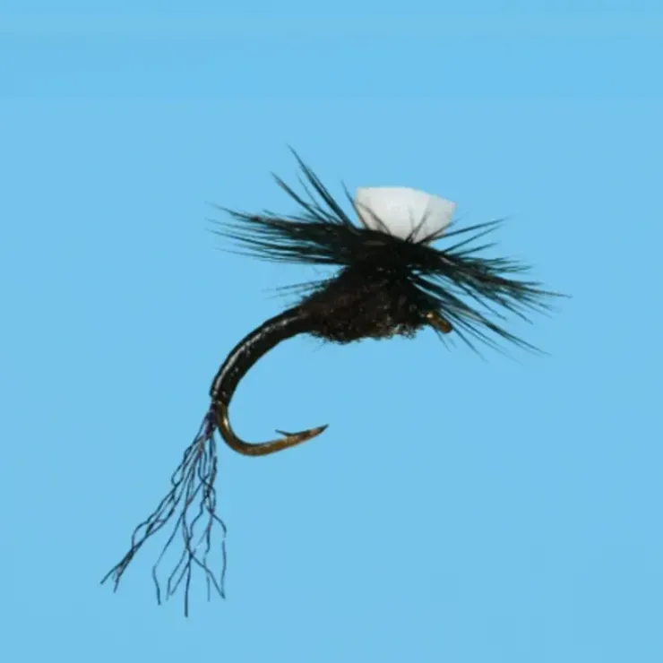 Brooks Sprout Trico - Your Premium Fishing Gear Store Rods Lines Baits Accessories^ New