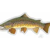 Brown Trout Sticker - Your Premium Fishing Gear Store Rods Lines Baits Accessories^ Cheap