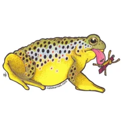 Brown Trout Toad Sticker - Your Premium Fishing Gear Store Rods Lines Baits Accessories^ Cheap