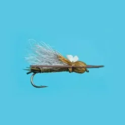 Bullet Head Stone Skwala - Your Premium Fishing Gear Store Rods Lines Baits Accessories^ Outlet