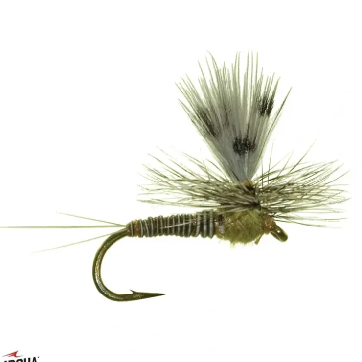 Burk's Silhouette Dun BWO - Your Premium Fishing Gear Store Rods Lines Baits Accessories^ Outlet