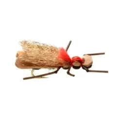 Burkus Bear Back Rider Okay - Your Premium Fishing Gear Store Rods Lines Baits Accessories^ Hot