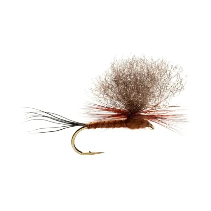 Burkus' Brown Drake Dun - Your Premium Fishing Gear Store Rods Lines Baits Accessories^ Cheap