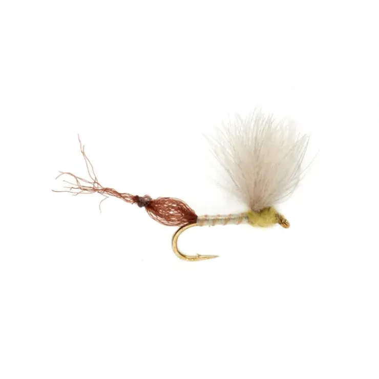 Burkus Riffle Robber Primrose - Your Premium Fishing Gear Store Rods Lines Baits Accessories^ Clearance