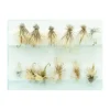 Caddis Dry Assortment- Tan - Your Premium Fishing Gear Store Rods Lines Baits Accessories^ Sale