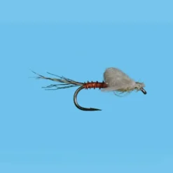 Captive Dun PMD - Your Premium Fishing Gear Store Rods Lines Baits Accessories^ Online