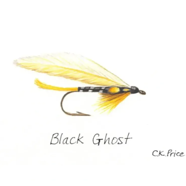 Caroline Price Art Black Ghost 10 Pack w/Envelopes - Your Premium Fishing Gear Store Rods Lines Baits Accessories^ Hot