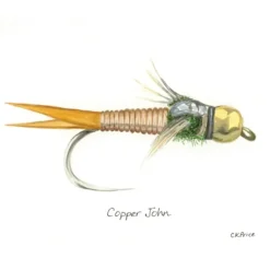 Caroline Price Art Copper John 10 Pack w/Envelopes - Your Premium Fishing Gear Store Rods Lines Baits Accessories^ Outlet