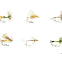 Caroline Price Art 6 Flies 10" x 14" Board w/ Mat - Your Premium Fishing Gear Store Rods Lines Baits Accessories^ Cheap