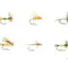 Caroline Price Art 6 Flies 10" x 14" Framed - Your Premium Fishing Gear Store Rods Lines Baits Accessories^ Store