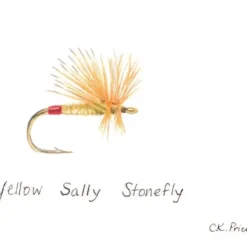 Caroline Price Art Yellow Sally Stonefly Framed - Your Premium Fishing Gear Store Rods Lines Baits Accessories^ Outlet