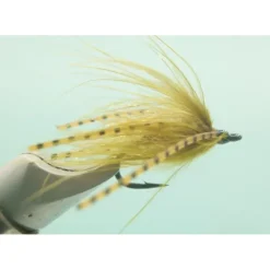 Carpdashian - Olive - #6 - Your Premium Fishing Gear Store Rods Lines Baits Accessories^ New