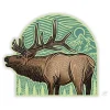 Casey Underwood Elk Arch - Your Premium Fishing Gear Store Rods Lines Baits Accessories^ Hot