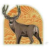 Casey Underwood Mule Deer Arch - Your Premium Fishing Gear Store Rods Lines Baits Accessories^ Discount