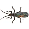 Casey Underwood Salmonfly Scape - Your Premium Fishing Gear Store Rods Lines Baits Accessories^ Shop