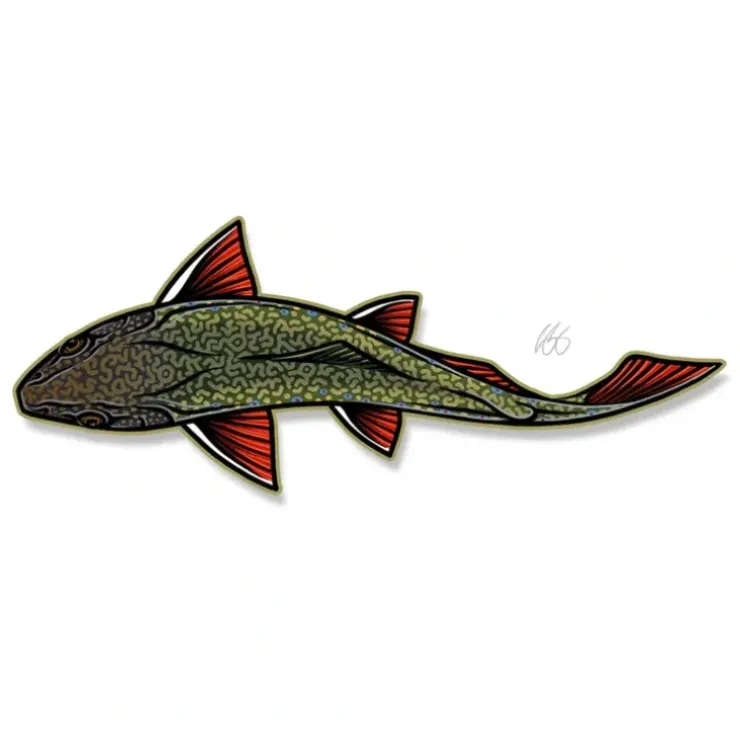 Casey Underwood Swimming Brook - Your Premium Fishing Gear Store Rods Lines Baits Accessories^ Store