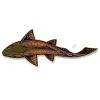 Casey Underwood Swimming Cutthroat - Your Premium Fishing Gear Store Rods Lines Baits Accessories^ Outlet