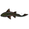 Casey Underwood Swimming Rainbow - Your Premium Fishing Gear Store Rods Lines Baits Accessories^ Hot
