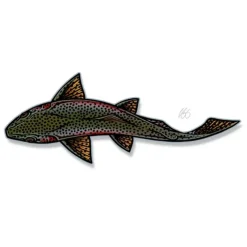 Casey Underwood Swimming Rainbow - Your Premium Fishing Gear Store Rods Lines Baits Accessories^ Hot