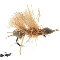 Chubby Cubby - Your Premium Fishing Gear Store Rods Lines Baits Accessories^ Online