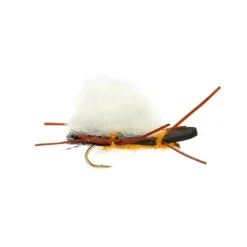 Chubby Salmon - Your Premium Fishing Gear Store Rods Lines Baits Accessories^ Best